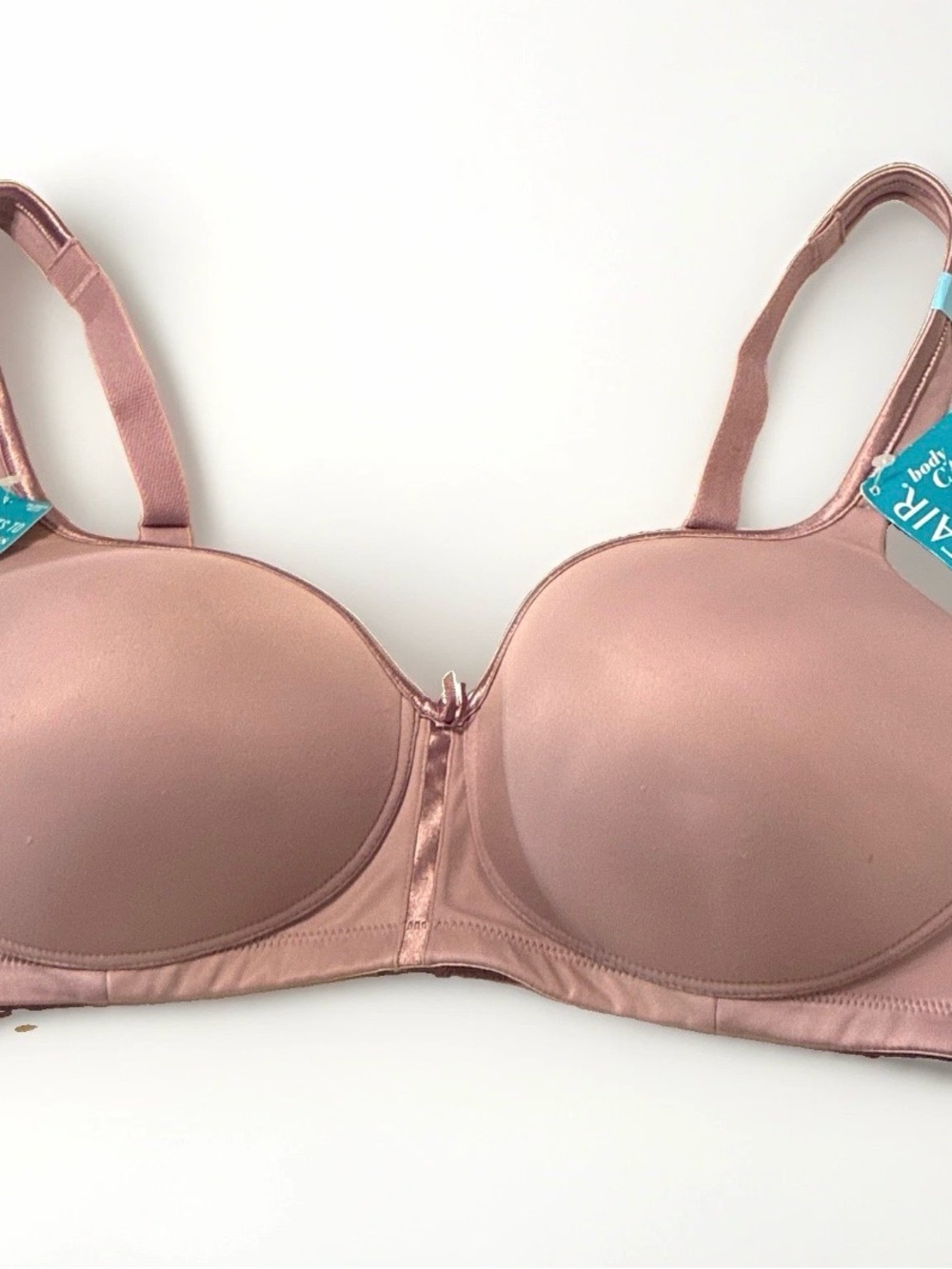 Vanity Fair Smooth Molded Bra in Rose